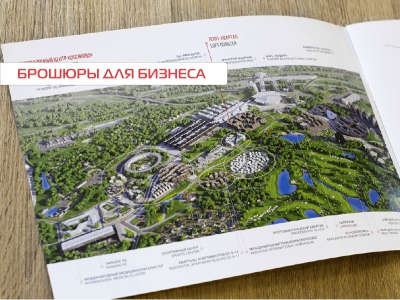 Брошюры для бизнеса