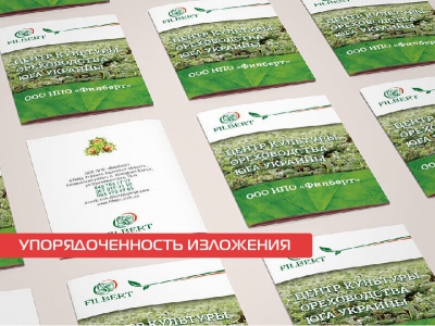 Упорядоченность изложения